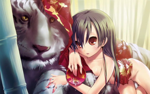 204551 (a): :1680x1050